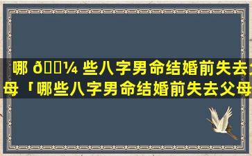 哪 🐼 些八字男命结婚前失去父母「哪些八字男命结婚前失去父母的能力」